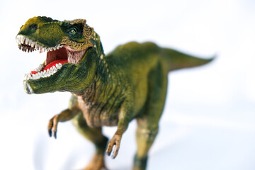 Tyrannosaurus Rex. T-Rex is a genus of large theropod dinosaur. 