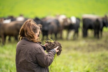 woman in agriculture looking at a soil sample. girl on a farm looking at plant roots