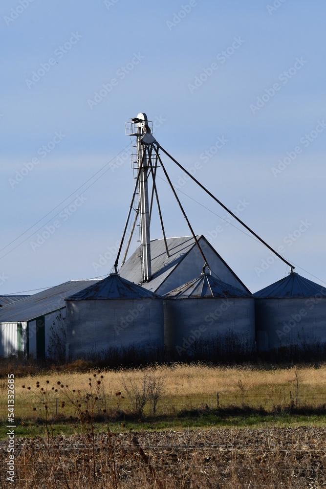 Wall mural Grain Bins