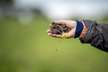 women in agriculture working on a ranch in America. Soil scientist feeling a soil sample. testing for microorganisms and fungi
