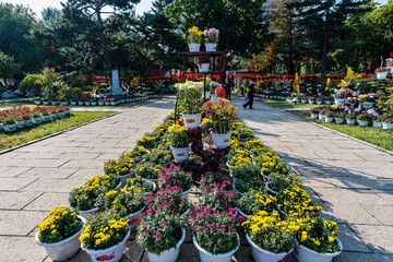 Scene of autumn chrysanthemum exhibition in Changchun Children's Park, China