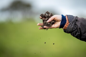 carbon in soil being held in the hands