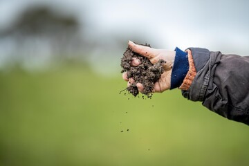 girl holding a soil sample on a farm in Australia