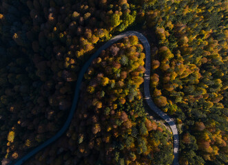 Yedigoller National Park Autumn Season Drone Photo, Bolu Turkey