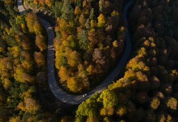 Yedigoller National Park Autumn Season Drone Photo, Bolu Turkey
