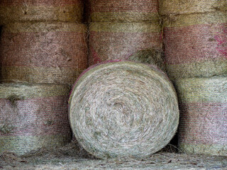 Strohrollen lagern in der Scheune