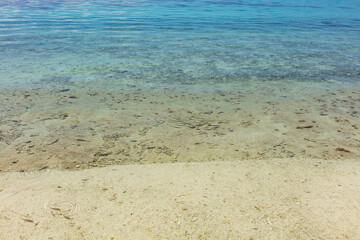 Fototapeta na wymiar Lagon de la plage de Temae à Mo'orea en Polynésie