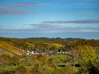 Weinberge im Herbst
