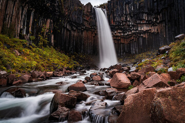 Svartifoss waterfall surrounded by dark lava columns and green plant, flows into river with lava...