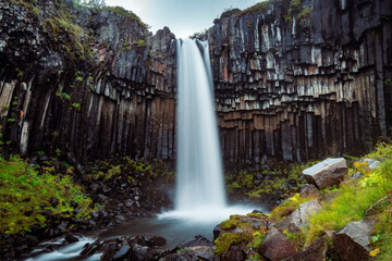 Svartifoss waterfall surrounded by dark lava columns and green plant