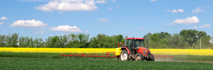 Tractor sprinkling pesticides on the agricultural field on a sunny spring day