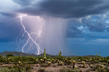Naklejka na ściany i meble Lightning in the Arizona desert