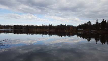reflection of trees in the lake