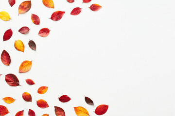 Frame border of colorful autumn leaves on white background. Flat lay, top view, copy space. Autumnal banner design.