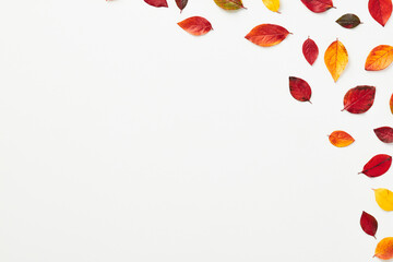 Frame corner made of colorful autumn fall leaves on white background. Flat lay, top view, copy space.