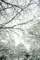 雪の彦根城