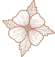 flower line art