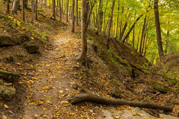 A Hiking Trail On A Hill In The Woods During Autumn
