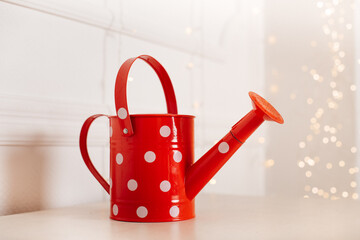 Gießkanne Fröhliche Tupfen Glückspilz © Alena Vilgelm