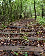 Opuszczone torowisko © janek