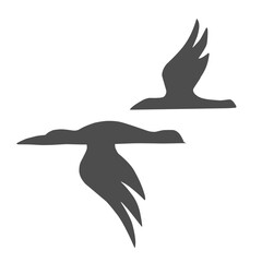 Bird logo icon vector