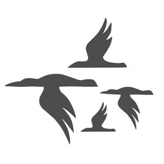 Bird logo icon vector
