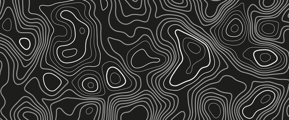 Abstract topographic map background. Imitation of a geographical map. Geographic map conceptual design. Elegant background for presentations.