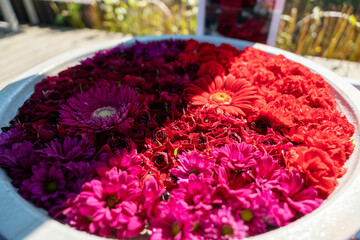 赤系の花手水　あしかがフラワーパーク