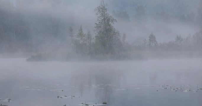 Foggy misty lake October morning