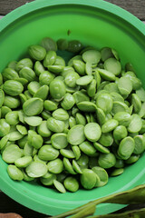 Raw Petai, Petai is a food that is widely consumed in Indonesia