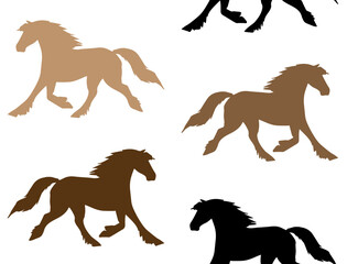 Vector seamless pattern of hand drawn horse silhouette isolated on white background