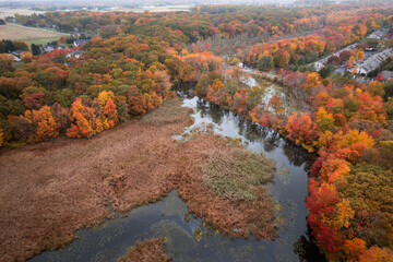 Obraz premium Drone Autumn Foliage in Princeton Cranbury Plainsboro New Jersey