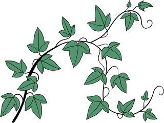 Simplicity ivy freehand drawing