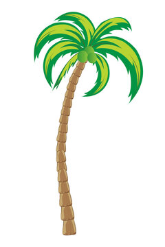 cartoon coconut tree