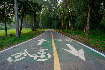Obraz premium Bike lane along in National Park 
