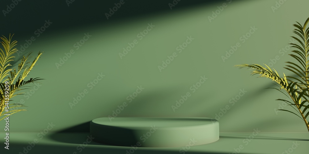 Wall mural product presentation 3d rendering showcase illustration with free space for object or copy paste tex
