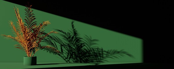 Green wall and floor with palm tree leaves and long shadow 3d rendering illustration. Free space for copy paste text.