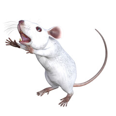 white mouse 3d rendering