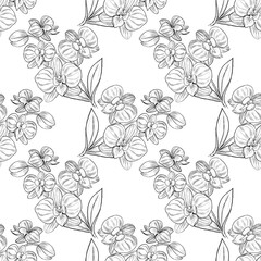 Illustration seamless pattern drawing of black doodle line orchid blooming, random branches on white background for clothing fabric textile, wallpaper,  paper wrapping