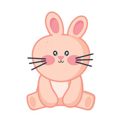 cute rabbit kawaii animal