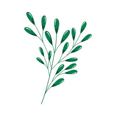 garden green plant nature