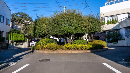 閑静な住宅街の道
