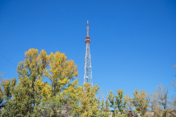 Obraz premium Huge city television tower antenna and autumn yellow leaves trees on blue sky. Front view