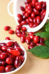 Bowl with ripe red dogwood berries and leaves on color background
