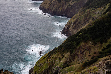 Vereda do Larano hiking trail, Madeira	