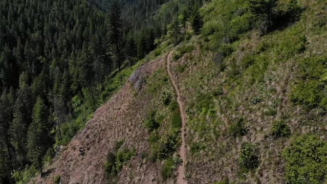 A hiking trail leading up a canyon in the Selkirks of North Idaho, located near Bonner's Ferry