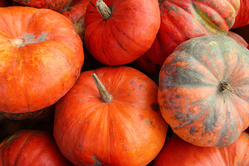 Orange pumpkins at fall fair, closeup