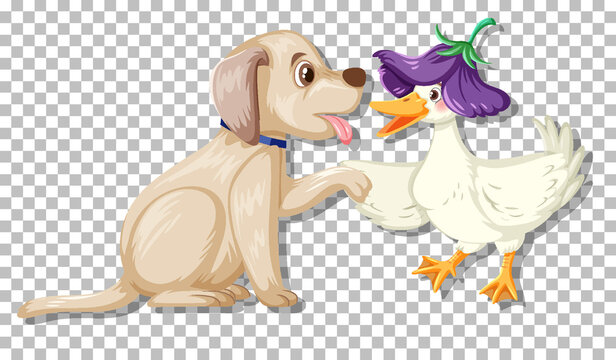 Cute dog playing wuth duck