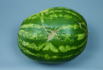 Watermelon with a defect, close-up on a gray background.