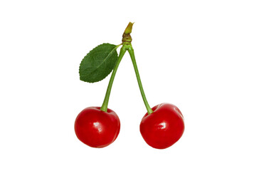 
вишня, две спелые вишни, изолировать, прозрачный фон
